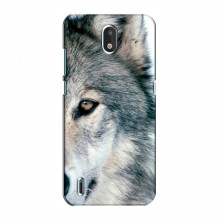 Чехлы с картинками животных Nokia 1.3 Волк - купить на Floy.com.ua