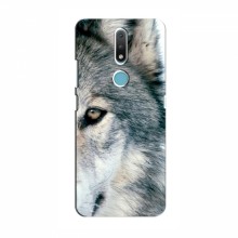 Чехлы с картинками животных Nokia 2.4 Волк - купить на Floy.com.ua
