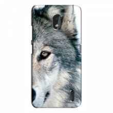 Чехлы с картинками животных Nokia 2.2 (2019) Волк - купить на Floy.com.ua