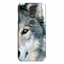 Чехлы с картинками животных Nokia 4.2 Волк - купить на Floy.com.ua