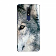 Чехлы с картинками животных Nokia 5.1 Plus (X5) Волк - купить на Floy.com.ua
