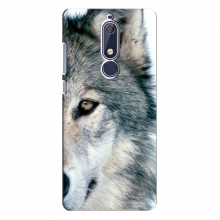 Чехлы с картинками животных Nokia 5.1 Волк - купить на Floy.com.ua