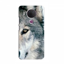 Чехлы с картинками животных Nokia 5.4 Волк - купить на Floy.com.ua