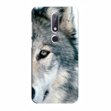 Чехлы с картинками животных Nokia 6.1 Plus Волк - купить на Floy.com.ua