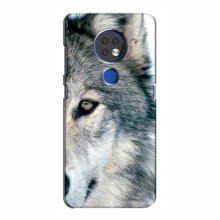 Чехлы с картинками животных Nokia 6.2 (2019) Волк - купить на Floy.com.ua