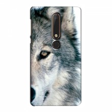 Чехлы с картинками животных Nokia 6 2018 Волк - купить на Floy.com.ua