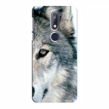 Чехлы с картинками животных Nokia 7.1 Волк - купить на Floy.com.ua