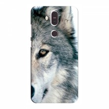 Чехлы с картинками животных Nokia 8.1 Волк - купить на Floy.com.ua