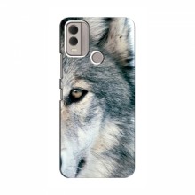 Чехлы с картинками животных Nokia C22 Волк - купить на Floy.com.ua