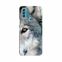 Чехлы с картинками животных Nokia C31 Волк - купить на Floy.com.ua