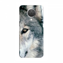 Чехлы с картинками животных Nokia G10 Волк - купить на Floy.com.ua