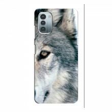 Чехлы с картинками животных Nokia G11 Волк - купить на Floy.com.ua