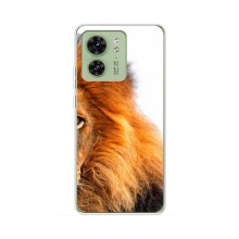 Чехлы с картинками животных Motorola Edge 40 Лев грива - купить на Floy.com.ua
