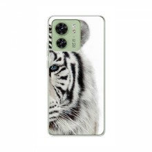 Чехлы с картинками животных Motorola Edge 40 Белый Тигр - купить на Floy.com.ua