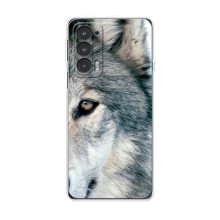 Чехлы с картинками животных Motorola Edge 20 Волк - купить на Floy.com.ua