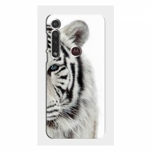 Чехлы с картинками животных Motorola MOTO G8 Plus Белый Тигр - купить на Floy.com.ua