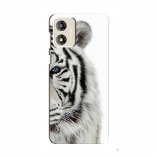 Чехлы с картинками животных Motorola MOTO G13 Белый Тигр - купить на Floy.com.ua