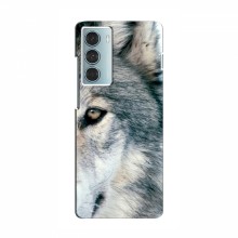 Чехлы с картинками животных Motorola MOTO G200 Волк - купить на Floy.com.ua