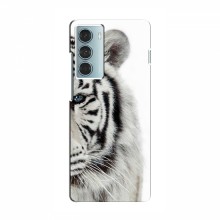 Чехлы с картинками животных Motorola MOTO G200 Белый Тигр - купить на Floy.com.ua