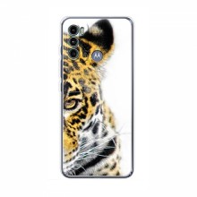 Чехлы с картинками животных Motorola MOTO G60 Леопард - купить на Floy.com.ua