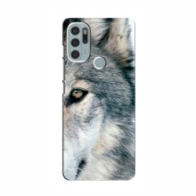 Чехлы с картинками животных Motorola MOTO G60s Волк - купить на Floy.com.ua