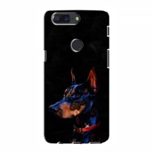 Чехлы с картинками животных OnePlus 5T Собака - купить на Floy.com.ua