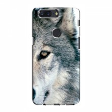 Чехлы с картинками животных OnePlus 5T Волк - купить на Floy.com.ua