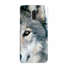 Чехлы с картинками животных OnePlus 6T Волк - купить на Floy.com.ua