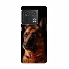 Чехлы с картинками животных OnePlus 10 Pro Овчарка - купить на Floy.com.ua