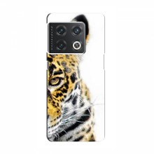Чехлы с картинками животных OnePlus 10 Pro Леопард - купить на Floy.com.ua