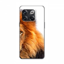 Чехлы с картинками животных OnePlus 10T Лев грива - купить на Floy.com.ua