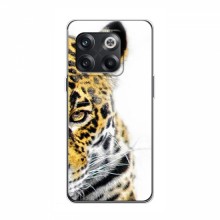 Чехлы с картинками животных OnePlus 10T Леопард - купить на Floy.com.ua