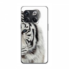 Чехлы с картинками животных OnePlus 10T Белый Тигр - купить на Floy.com.ua