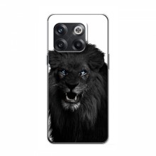 Чехлы с картинками животных OnePlus 10T Черный ЛЕВ - купить на Floy.com.ua
