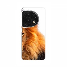 Чехлы с картинками животных OnePlus 11 Лев грива - купить на Floy.com.ua