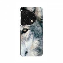 Чехлы с картинками животных OnePlus 11 Волк - купить на Floy.com.ua