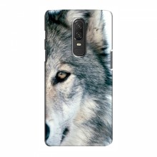 Чехлы с картинками животных OnePlus 6 Волк - купить на Floy.com.ua