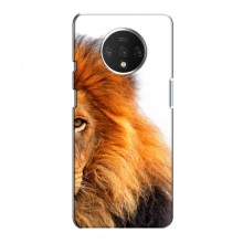 Чехлы с картинками животных OnePlus 7T Лев грива - купить на Floy.com.ua