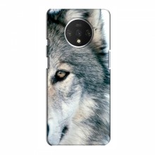 Чехлы с картинками животных OnePlus 7T Волк - купить на Floy.com.ua
