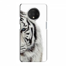 Чехлы с картинками животных OnePlus 7T Белый Тигр - купить на Floy.com.ua