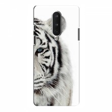 Чехлы с картинками животных OnePlus 8 Белый Тигр - купить на Floy.com.ua