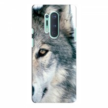 Чехлы с картинками животных OnePlus 8 Pro Волк - купить на Floy.com.ua