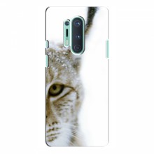 Чехлы с картинками животных OnePlus 8 Pro Рысь - купить на Floy.com.ua
