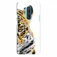 Чехлы с картинками животных OnePlus 8 Pro Леопард - купить на Floy.com.ua
