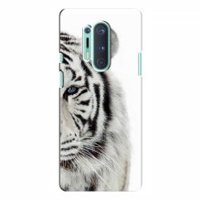 Чехлы с картинками животных OnePlus 8 Pro Белый Тигр - купить на Floy.com.ua