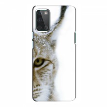 Чехлы с картинками животных OnePlus 8T Рысь - купить на Floy.com.ua