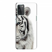 Чехлы с картинками животных OnePlus 8T Белый Тигр - купить на Floy.com.ua