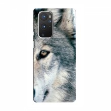 Чехлы с картинками животных OnePlus 9 Волк - купить на Floy.com.ua