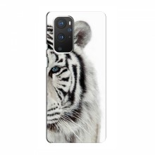 Чехлы с картинками животных OnePlus 9 Белый Тигр - купить на Floy.com.ua
