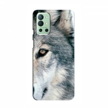 Чехлы с картинками животных OnePlus 9R Волк - купить на Floy.com.ua